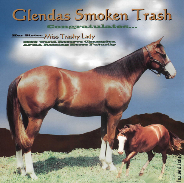1998 Paint Chestnut/overo Filly By Trashadeous, Out of Miss Glenda Jac, Reg. #465,854 (Photo taken at 15 months)