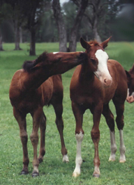 Zandy and Sidney